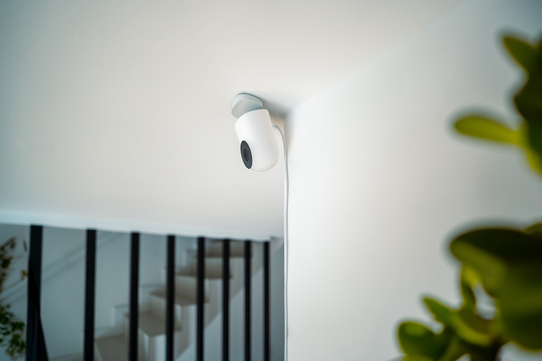best security cameras for apartments